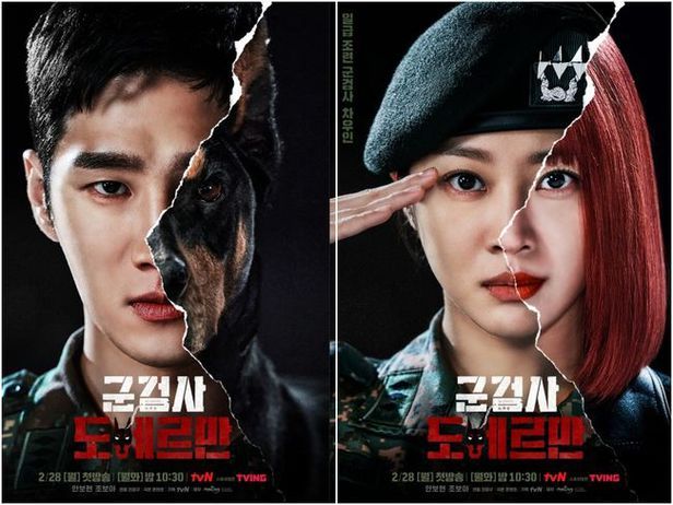 Distribution De Procureur Militaire Doberman kpopnews.atsit.in