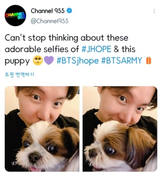 美ラジオ Btsジェイホップ伴侶犬可愛らしく無限の愛情 K Pop News Inside