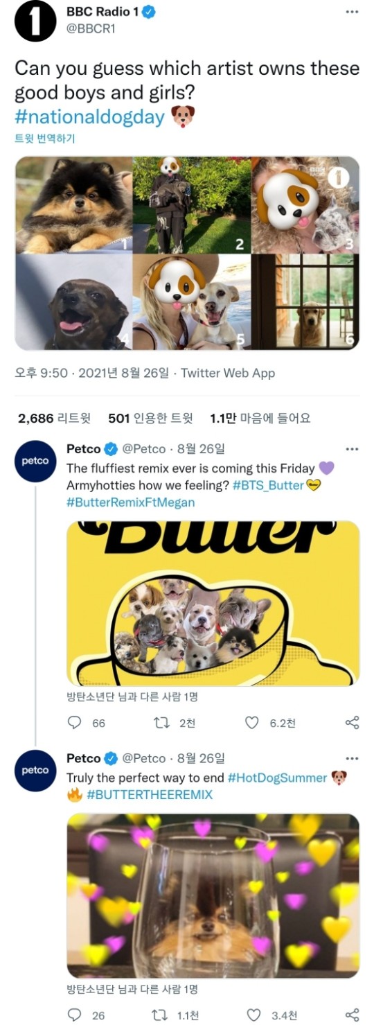 世界で愛されるbtsヴィの伴侶犬練炭が K Pop News Inside