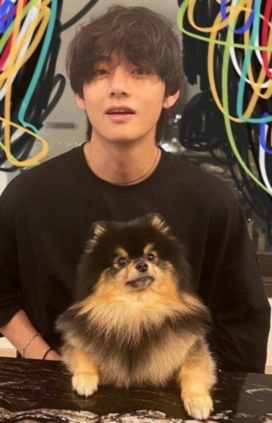 Btsヴィ 一緒に伴侶犬の散歩させたい男性アイドル1位 K Pop News Inside Btsヴィ 一緒に伴侶犬の散歩させたい男性アイドル1位 K Pop News Inside