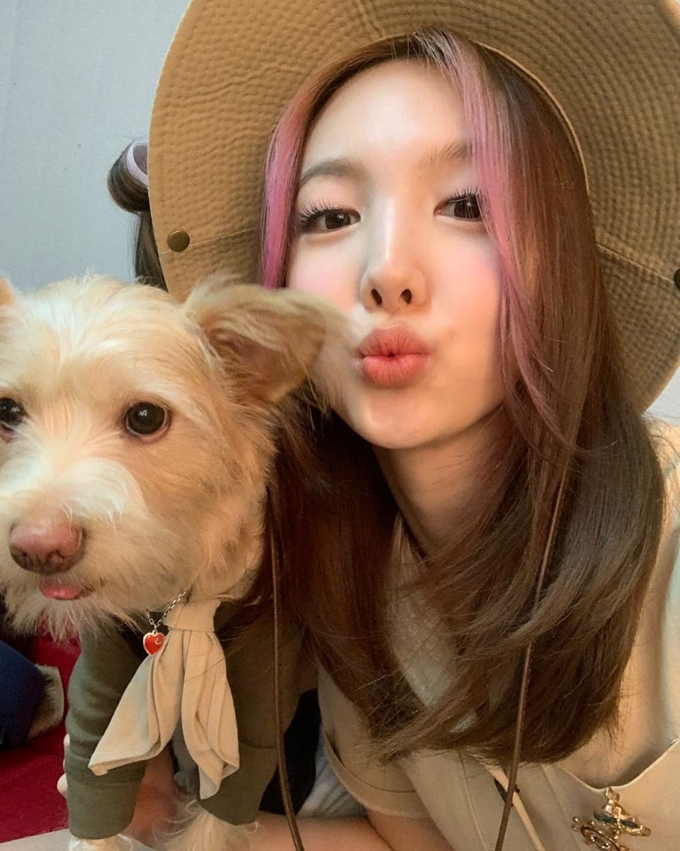 Twiceナヨンが子犬と一緒に新しいセルカでビジュアルを表示 K Pop News Inside